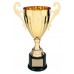 CMC300 Metal Cup Trophy